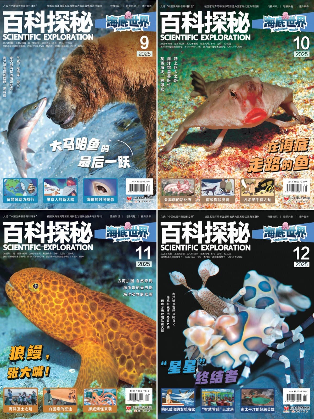 百科探秘·海底世界 2025全年共12期 PDF