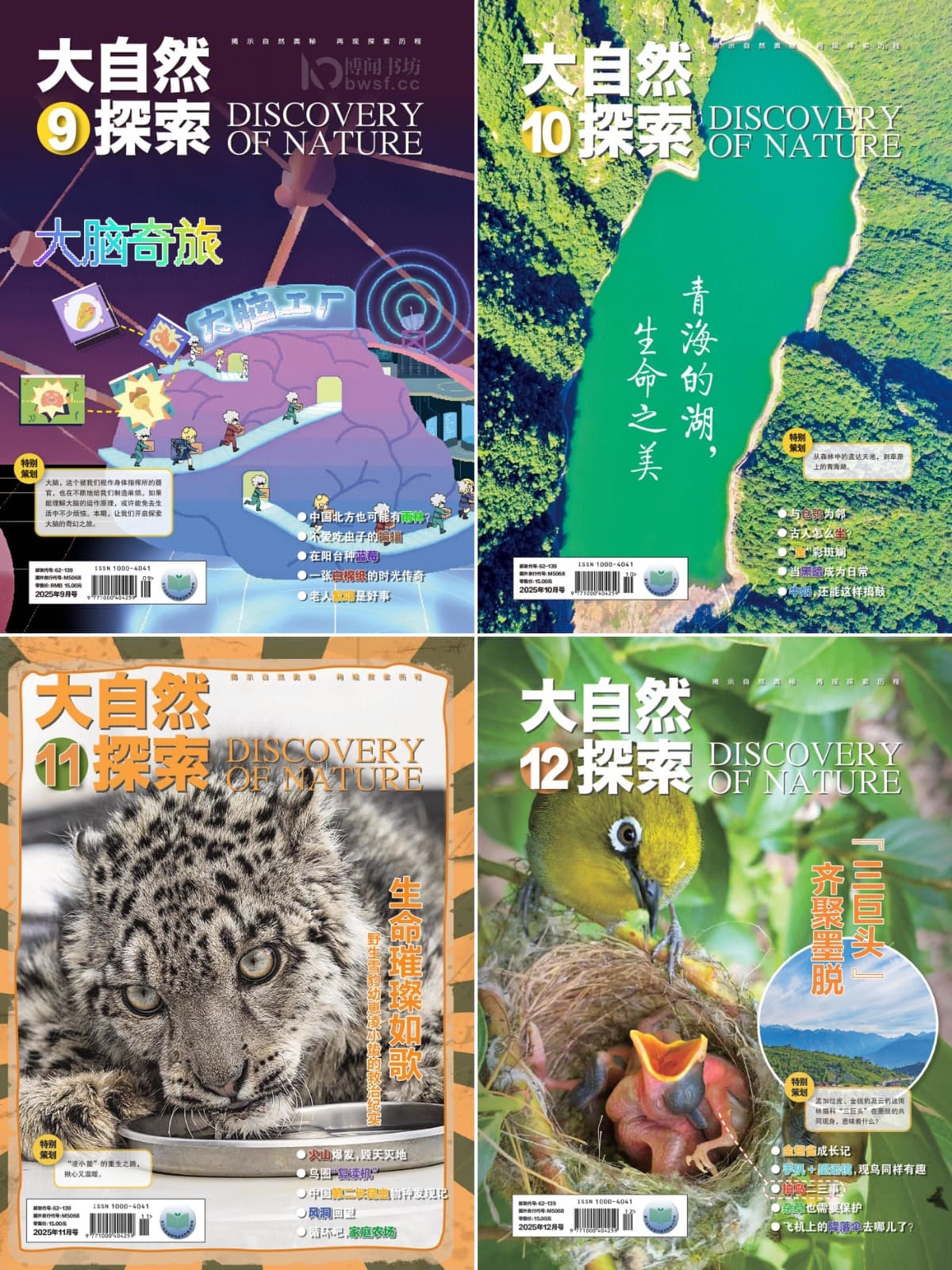 大自然探索 2025全年共12本 PDF