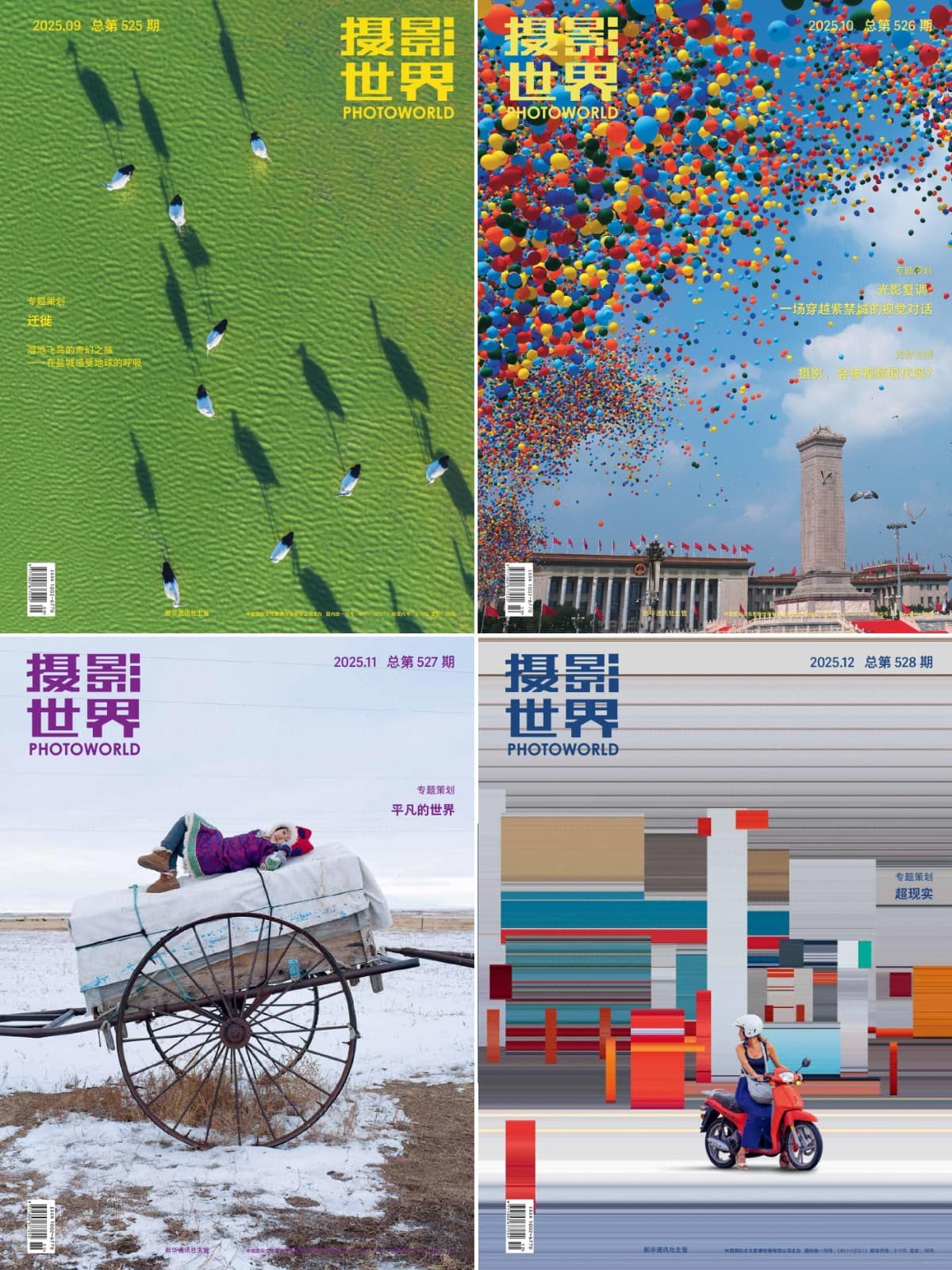 摄影世界 2025全年共12本 PDF