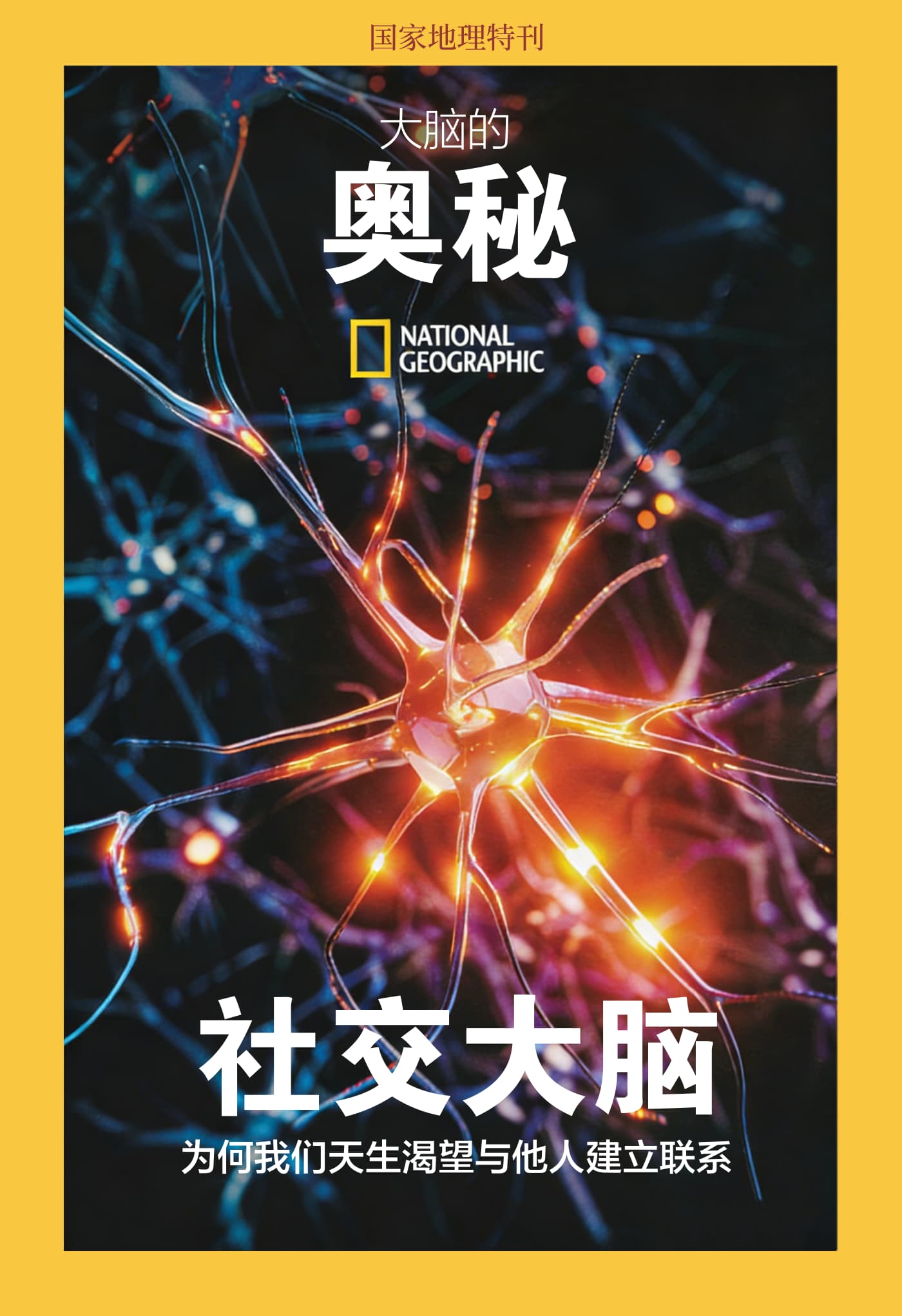 国家地理·特刊：大脑的奥秘—社交大脑 PDF