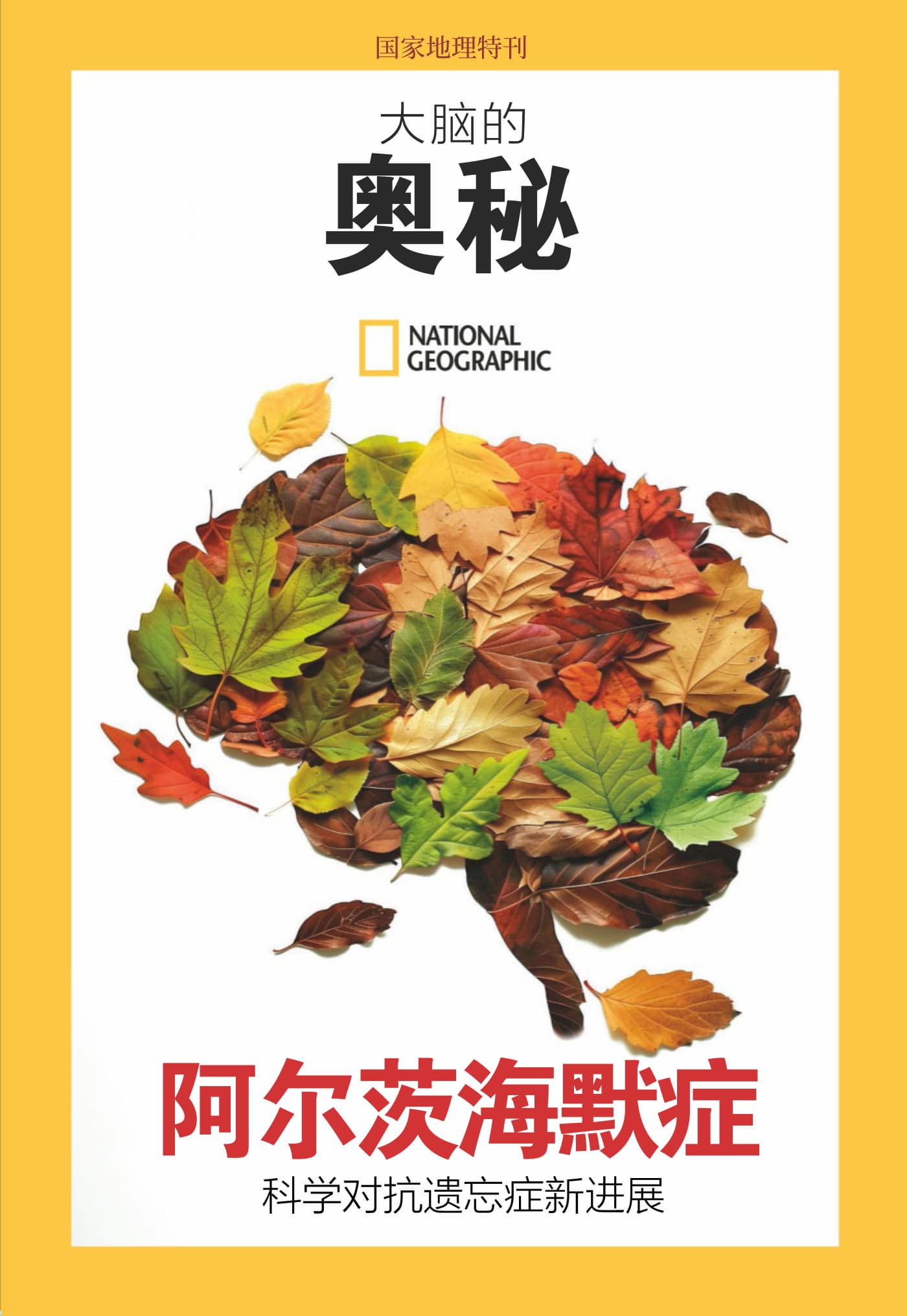 国家地理·特刊：大脑的奥秘—阿尔茨海默症 PDF