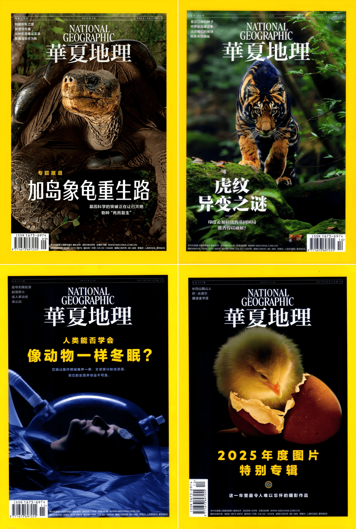 华夏地理 2025全年共12期 PDF